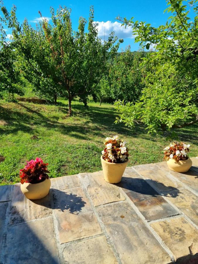 Hoopovo House Fruska Gora Irig Exterior foto