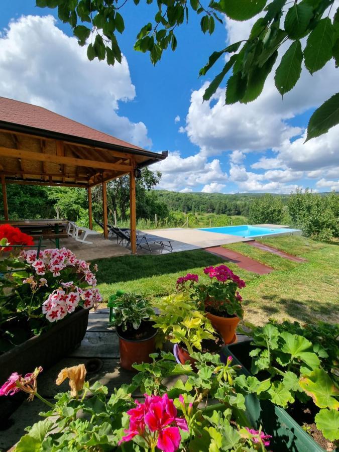 Hoopovo House Fruska Gora Irig Exterior foto
